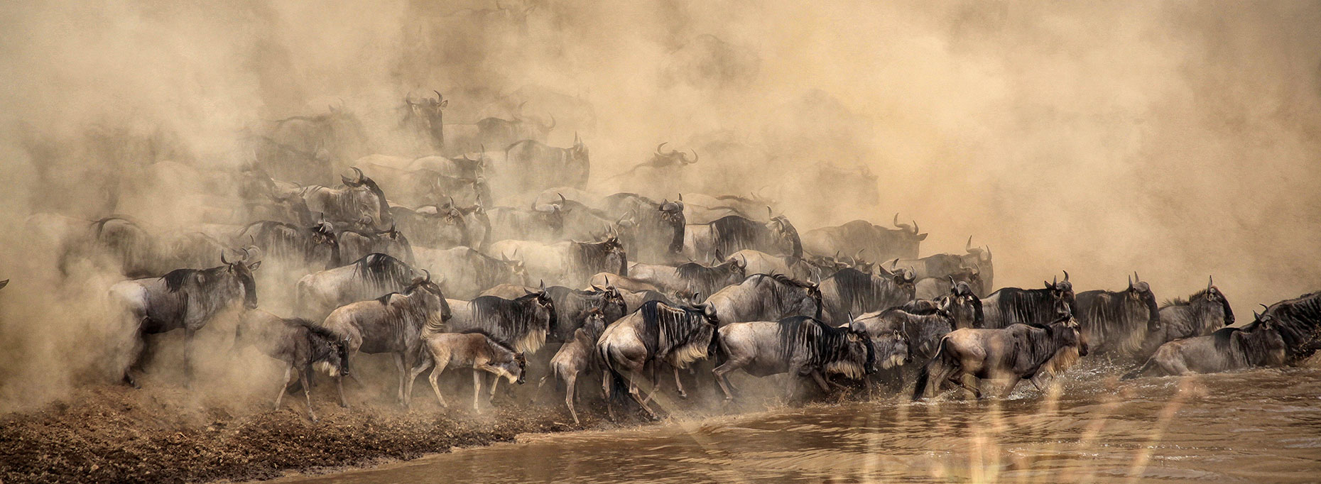 East Africa Migration Safari