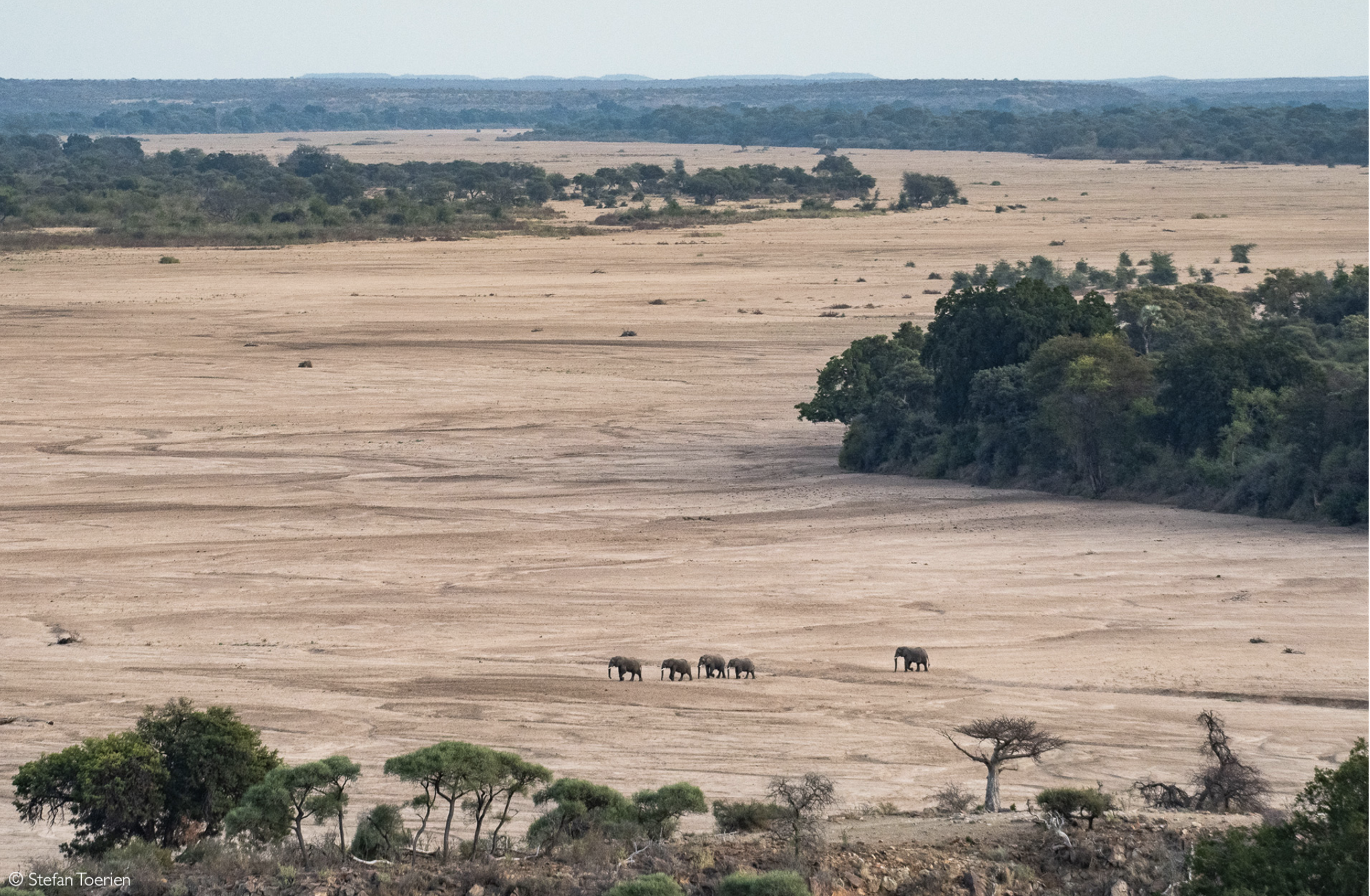 Northern Tuli Game Reserve