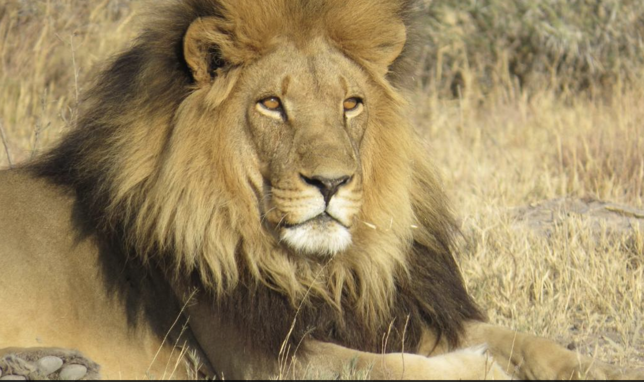 Kruger National Park Lower Sabie