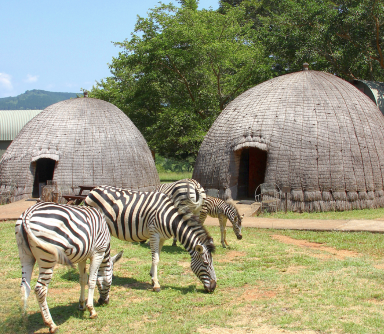 Eswatini Mlilwane Wildlife Sanctuary