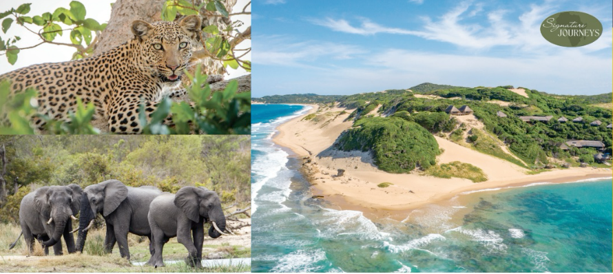 Mozambique beach