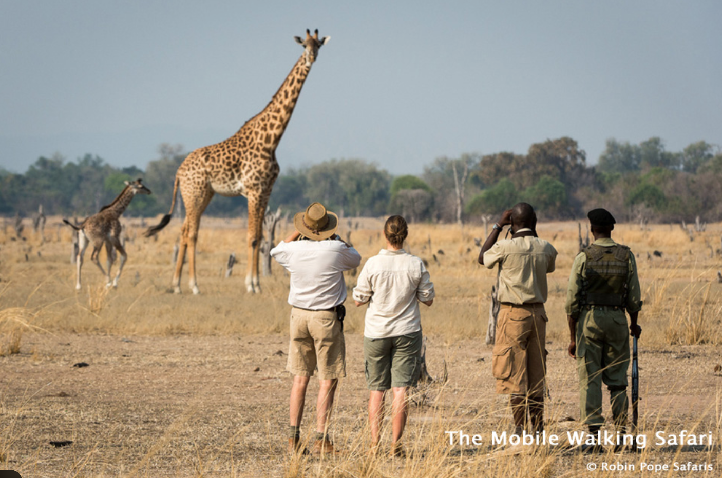 Greater Kruger Walking Safari