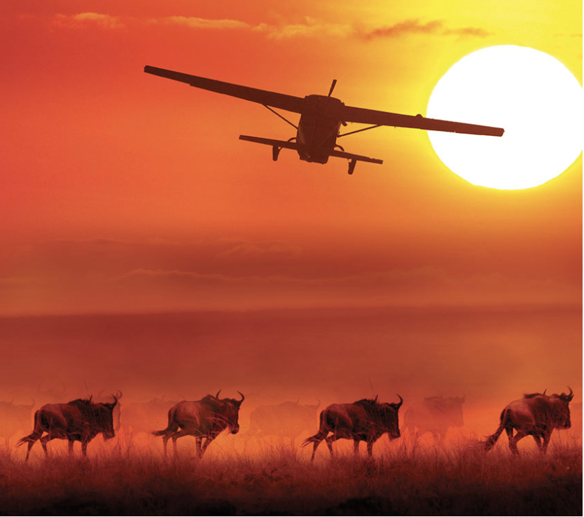 Private charter aircraft over African wildlife landscape