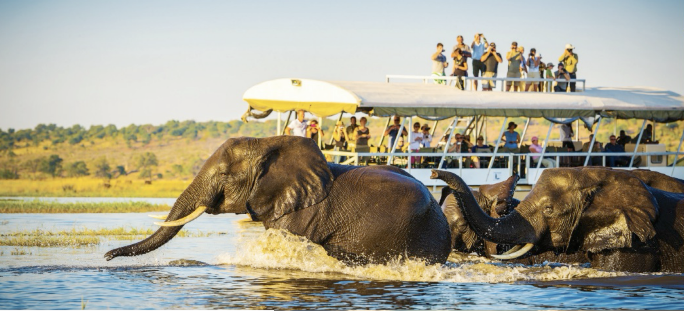 Chobe