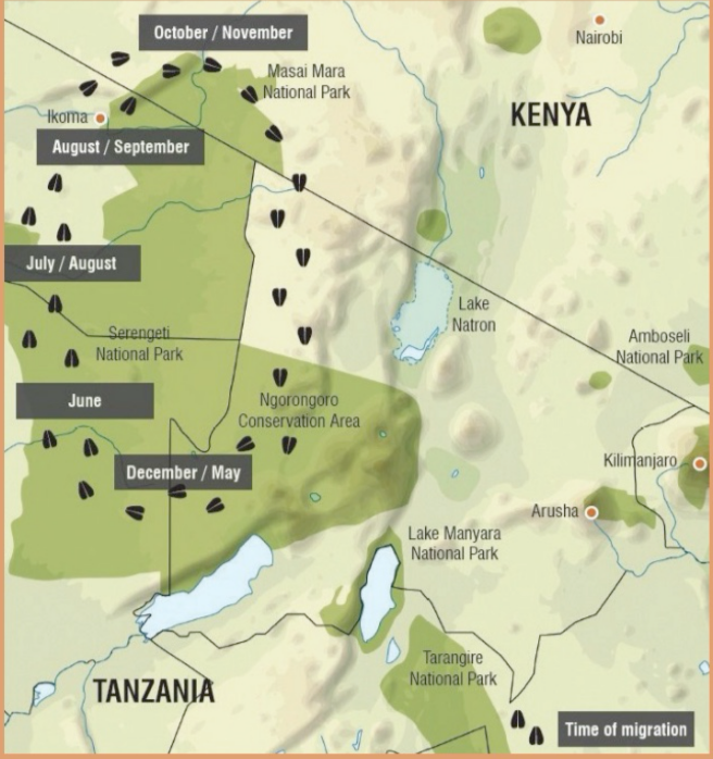 Wildebeest Migration Route Map Kenya Tanzania