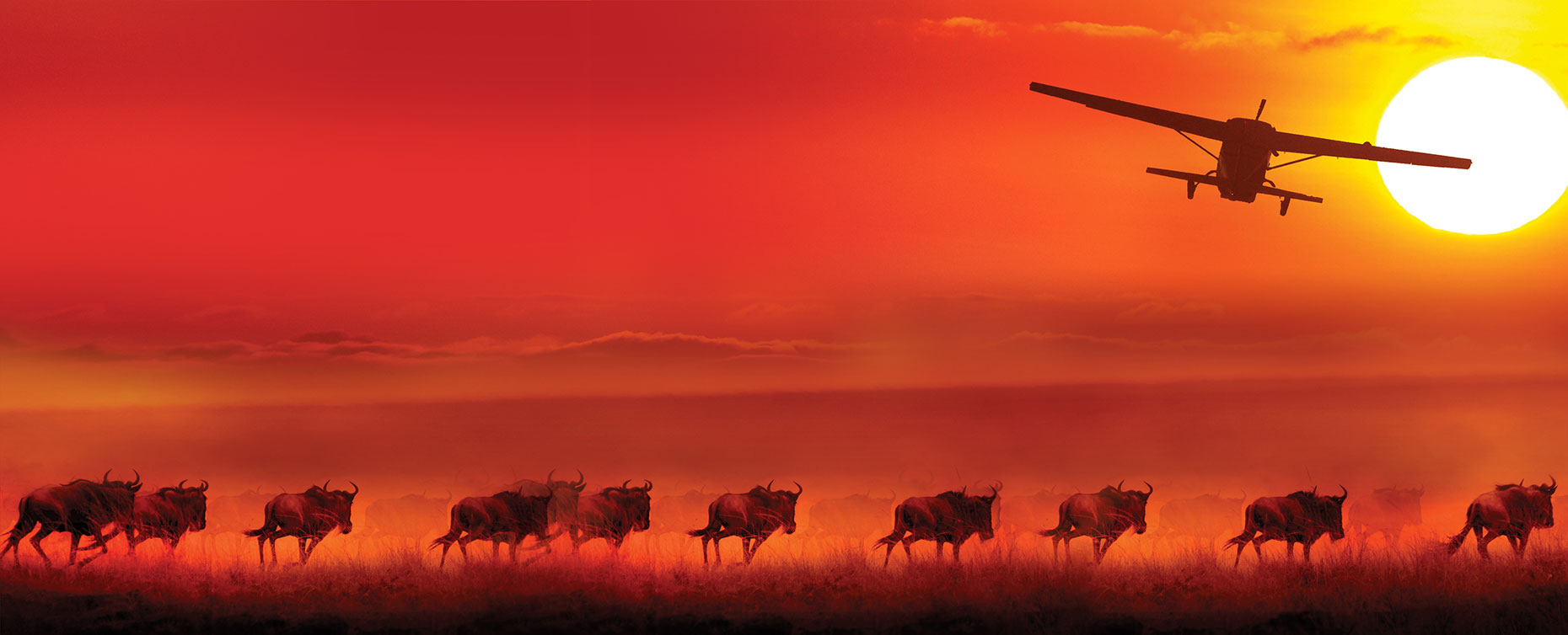 Southbound Fly-In Safari
