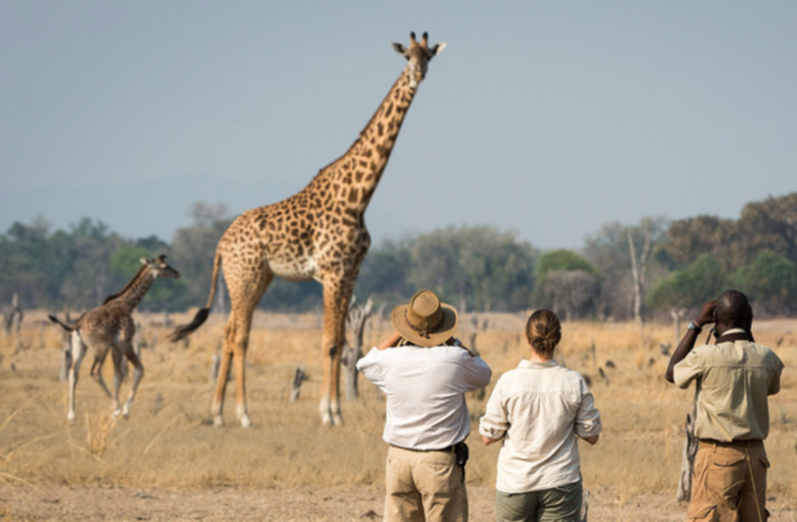 Greater Kruger Walking Trek
