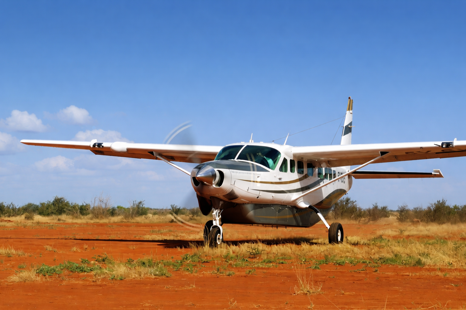 Northbound Fly-In Safari