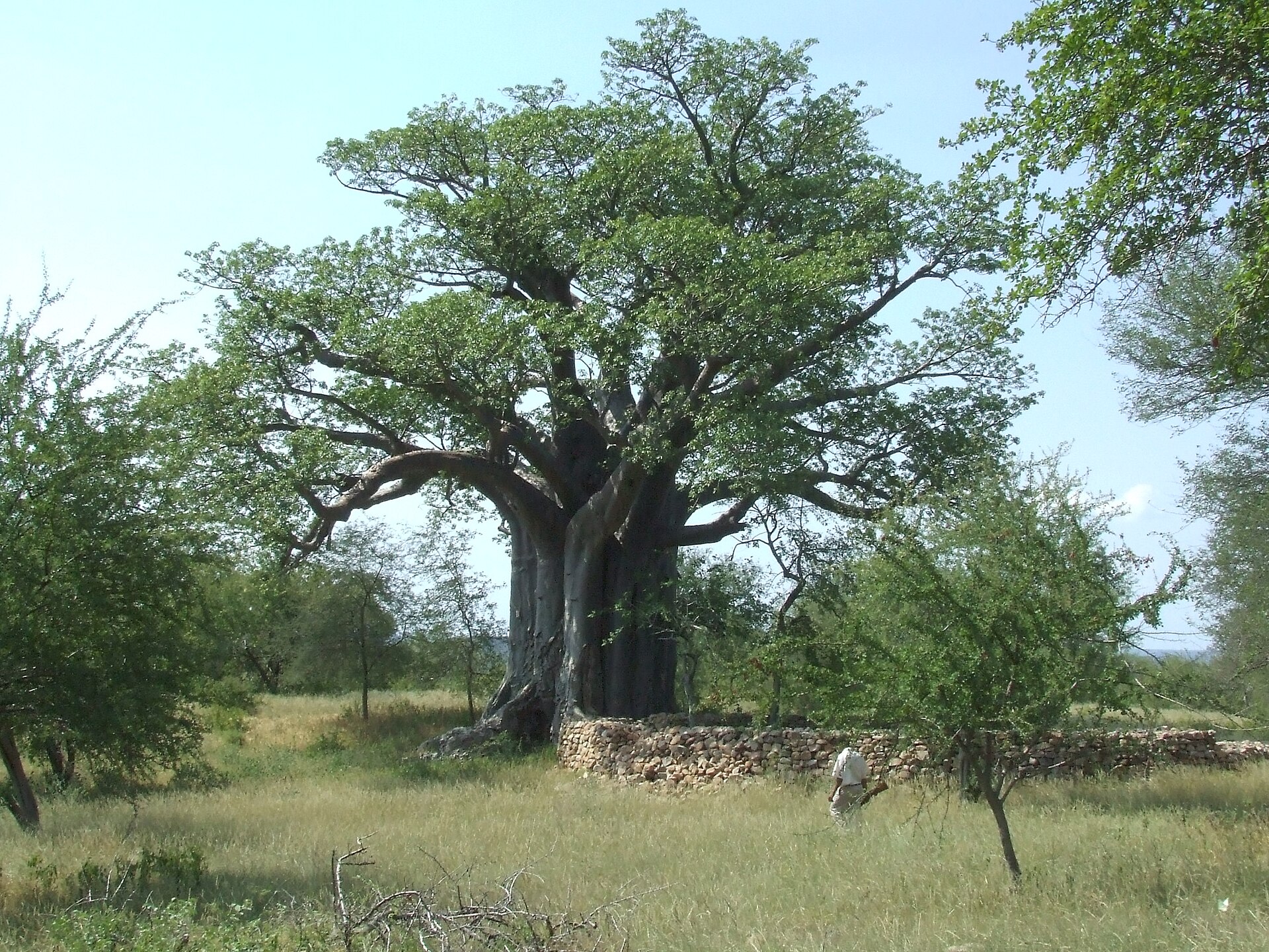 Thulamela Ruins near Pafuri — Greater Kruger