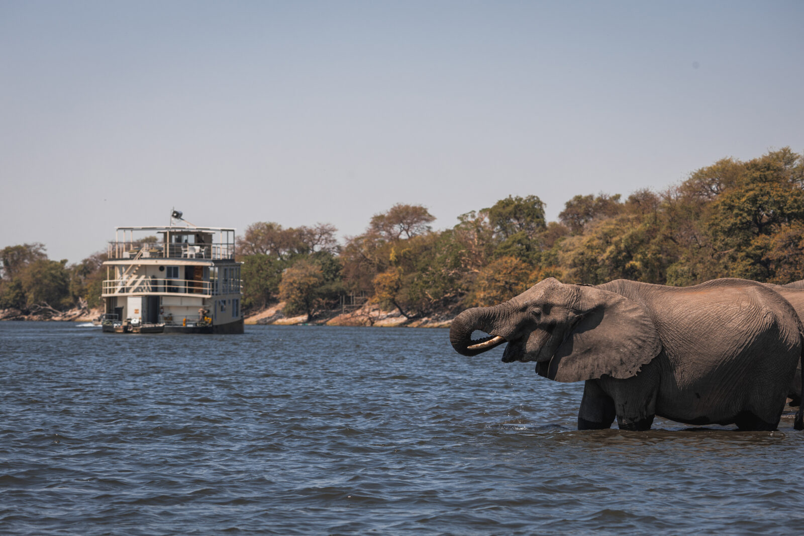 Chobe Princess