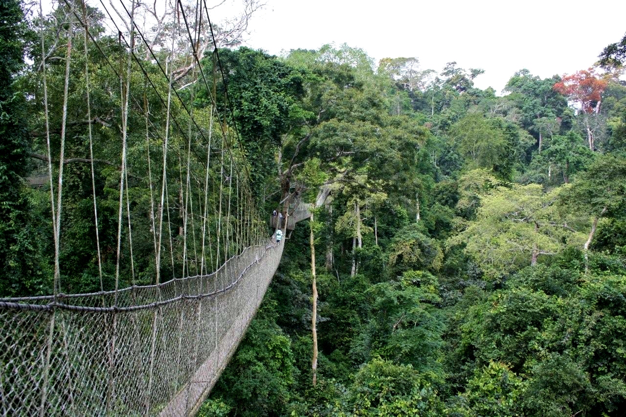 Kakum National Park — canopy walkway, Ghana