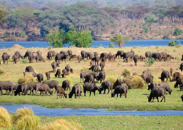 Mana Pools, Zimbabwe