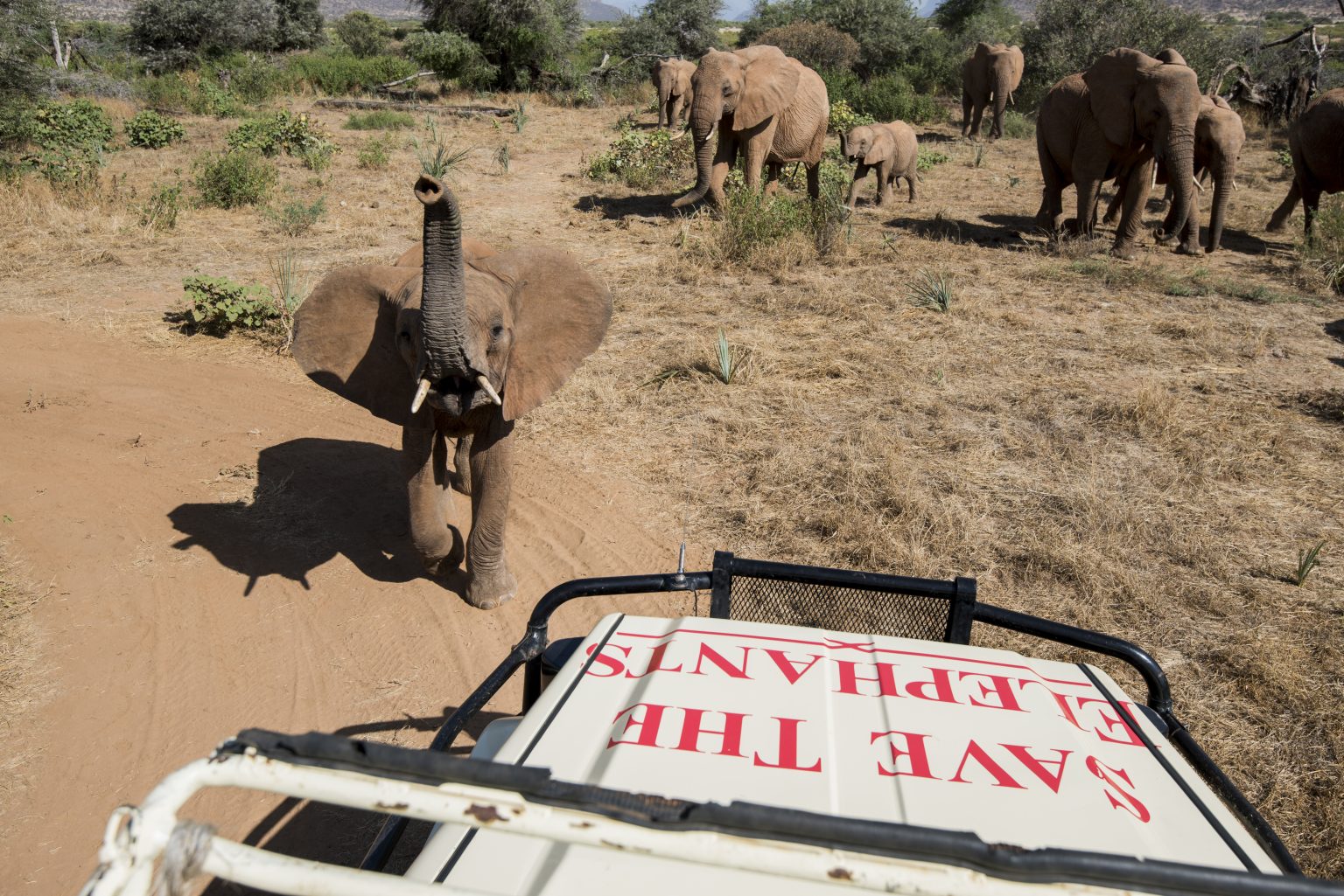 Samburu