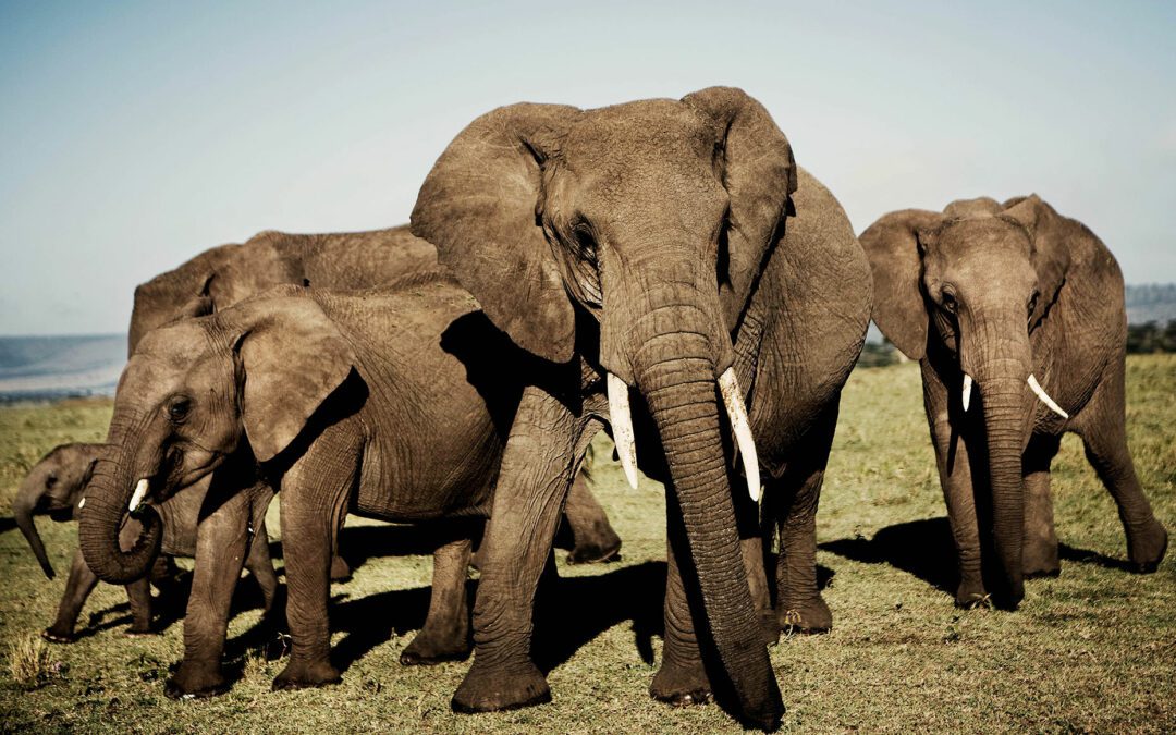 Serengeti National Park