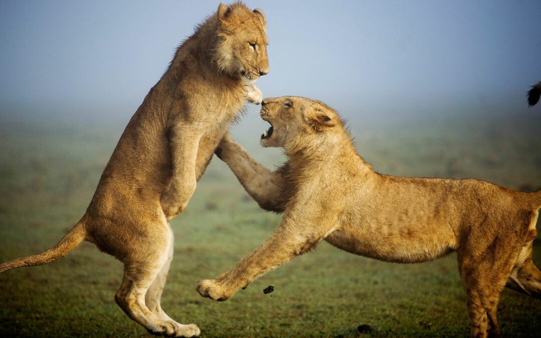 Samburu National Reserve
