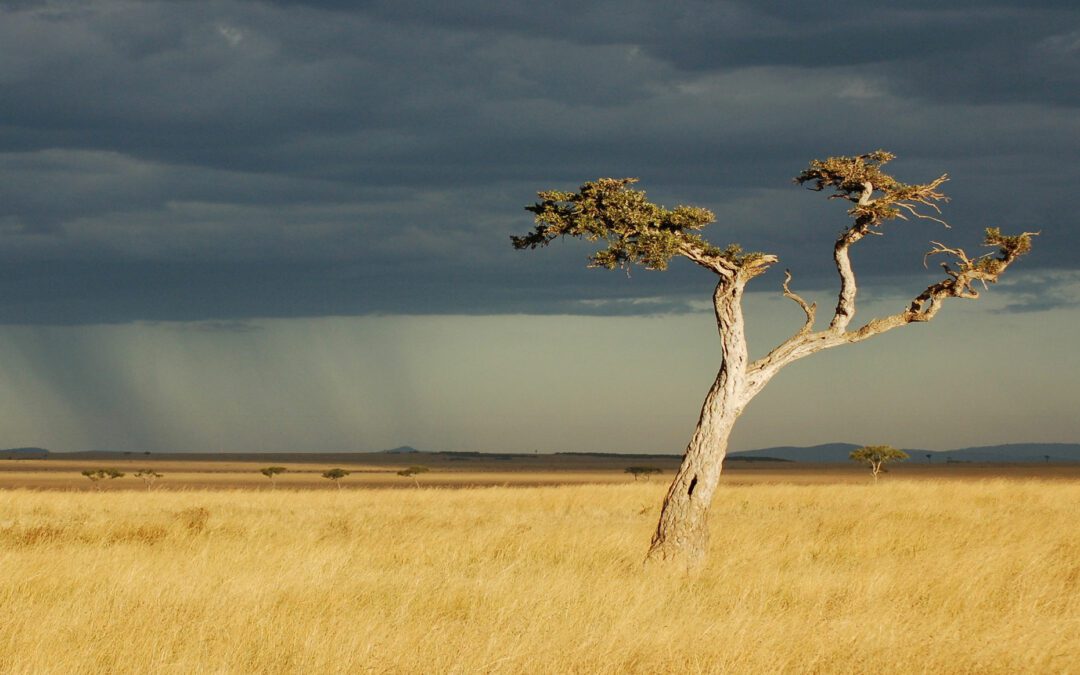 Serengeti National Park