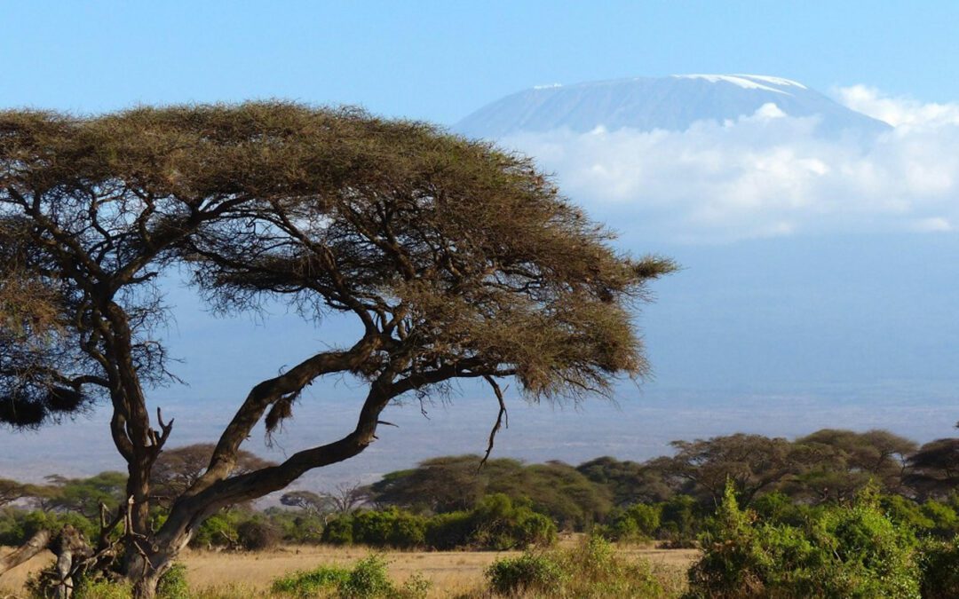 Mount Kilimanjaro