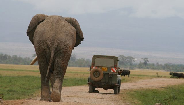 Satao Camp Tsavo – East National Park